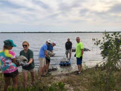 Students and volunteers team up to build a breakwater.