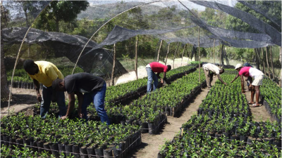 Timberland and the Smallholder Farmers Alliance first partnered in 2010 to fulfill Timberland’s commitment to plant five million trees in five years. The SFA’s innovative Tree Currency agroforestry model engaged local farmers to plant, transplant and care for trees to earn credits they can exchange for seeds, tools, and training.