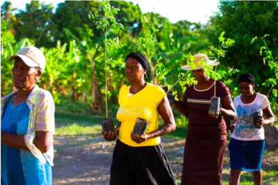Smallholder farmers in Haiti plant trees as part of Timberland’s pledge to plant 50 million trees by 2025 and to forward the 1t.org global movement to plant one trillion trees by 2030. Photo Credit: AF Cortes/SFA