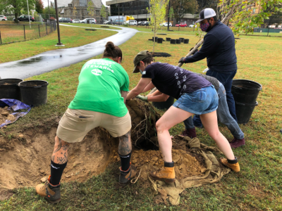 Over 150 Timberland employees volunteered for the company’s 23rd annual Serv-a-palooza. Some opted to serve virtually while others served in small teams on outdoor projects. These volunteers planted 30 trees in downtown Lawrence, MA to support Groundwork Lawrence.