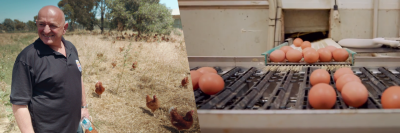 Morry Wroby, CEO and Managing Director of Happy Chicken Eggs, had EnergyAustralia put solar panels in his farm to help reduce carbon footprint and save costs.