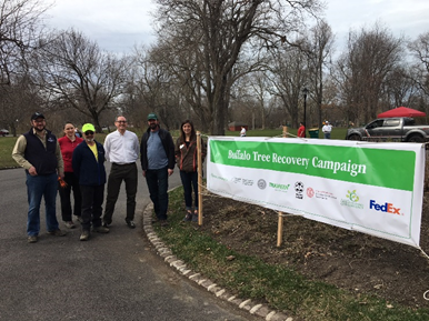 Buffalo: Service Manager Bob Chu along with his branch team leading tree planting efforts to support TruGreen.
