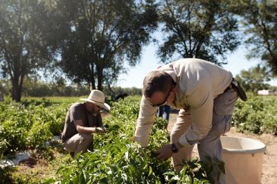 Desert Forge Foundation