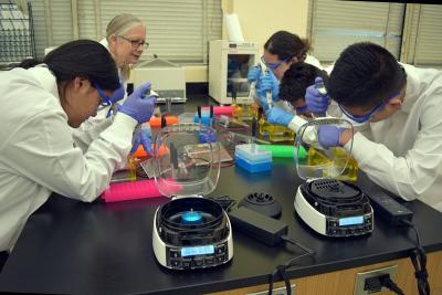 Dr. Wendy Wooten engages her students in the labs of the Amgen Biotech Experience at Reseda High Charter School in Los Angeles. Photo by Evelyn Perez. Used with permission.