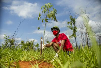 Employees and the local community help plant native saplings at FPT Industrial’s Sete Lagoas plant.