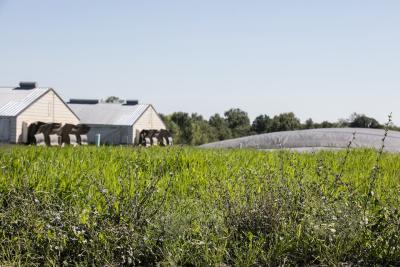 Monarch Bioenergy, the joint venture between Smithfield Foods and Roeslein Alternative Energy, will convert manure from Smithfield’s company-owned hog farms in Missouri into renewable natural gas (RNG). The partnership will also sustainably harvest prairie plants and cover crops to produce additional RNG in Missouri.