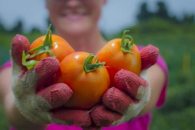 Image credit: <a href=" http://bit.ly/2LLt8uy"target="_blank"> U.S. Department of Agriculture </a>