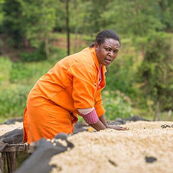 “I have been working with Kagaari North Farmers Cooperative Society since 2010. In that time, members have increased their coffee production and quality thanks to Fair Trade Community Development Funds that have permitted the supply of farm inputs. Consumers should buy fair trade coffee to empower farmers and help them change their lives.” — Esther Gatwiri Njiru, Kagaari North Wet Mill Manager, Kenya