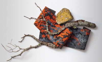 In 2017, commercial brand Mohawk Group launched Lichen, a carpet plank inspired by the idea of "Nature’s Carpet.” It is the world’s first floor covering to achieve Living Product Challenge Petal Certification and is on track to give more back to the environment than it takes during its entire life cycle.