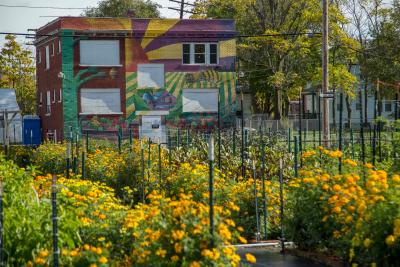 The Michigan Urban Farming Initiative unveiled Americas first sustainable urban agrihood, an alternative neighborhood growth model in Detroits lower North End that positions agriculture as the centerpiece of a mixed-use urban development. Totaling about three acres, the all-volunteer organizations urban agrihood features a bustling two-acre urban garden, a 200-tree fruit orchard, a childrens sensory garden, and more. The urban garden provides fresh, free produce to about 2,000 households annually within two square miles of the farm. (Photo by Jeffrey Sauger for General Motors)