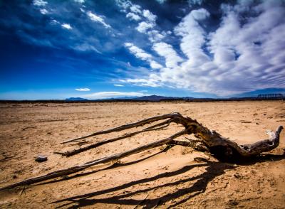 (Image: New Mexico's Rio Salado Riverbed stands dry in February 2015. The Southwestern U.S. state is one of several facing "extremely high" water risk, according to recent research from WRI.)