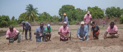Farmers near Gonaives, Haiti, plant cotton seeds with Hugh Locke (middle front) and Timote Georges (right) of the Smallholder Farmers Alliance (SFA). The team donned Timberland shirts to acknowledge that these same items will soon begin to incorporate smallholder-grown organic Haitian cotton. Photo: Thomas Noreille/SFA