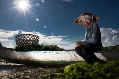 Seaweed farming is an activity that is restorative to oceans, creates livelihoods for coastal communities, and offers job opportunities to women. Photo credit: Carol da Riva
