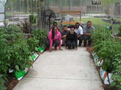 Students from The Charles R. Drew Transition Center harvest habanero peppers grown directly inside bags of ScottsMiracle-Gro soil