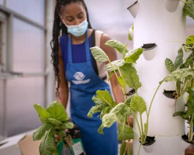 Kelly uses fresh ingredients, like basil, from the training center’s greenhouse, where students also learn to grow and harvest herbs and vegetables.