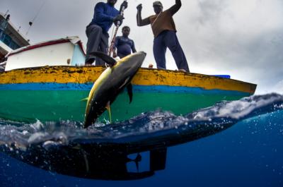 Fair Trade Certified tuna fishers