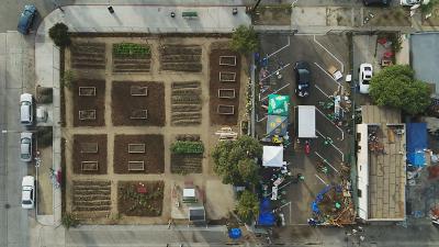 Photos from Urban Greening Year 3 in Los Angeles, CA
