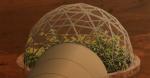 This is MarsOasis—another project from Space Lab Technologies. It is an autonomously controlled inflatable growth chamber for the surface of Mars.