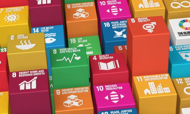 Impact 2030 Sustainable Development Goals Infograph