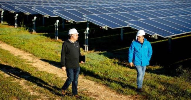 Two men with hard hats walking through a field of solar panels.