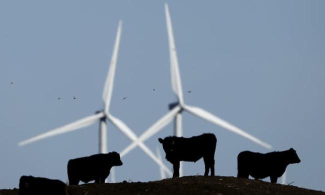 Walmart’s Project Gigaton is designed to encourage suppliers to pursue a suite of sustainability strategies, from procuring new renewable energy sources to avoiding deforestation. Photograph: Charlie Riedel/AP