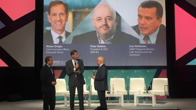 Rabobank and UN Environment join forces to finance sustainable agriculture with new billion-dollar facility