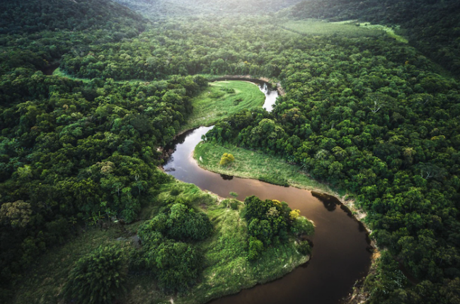 River shown meandering through a rain forest.