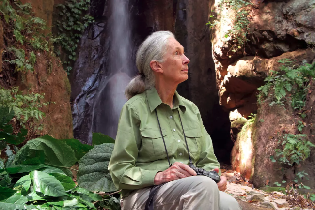 Jane Goodall in front of waterfall