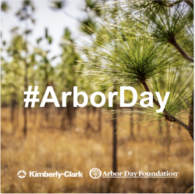 "#ArborDay" with Kimberly-Clark and Arbor Day Foundation logos