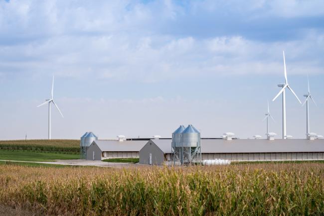 Smithfield Foods has released its 2018 Sustainability Report, highlighting accomplishments, performance metrics, and progress toward a number of sustainability goals and targets in the areas of animal care, the environment, food safety and quality, helping communities, and people.