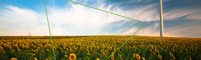 Field of sunflowers, windmills in the background. An abstract green outline of a triangle in the middle
