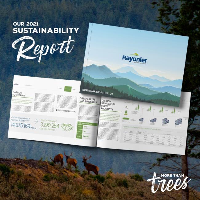 Cover and some pages from Rayonier's Sustainability Report