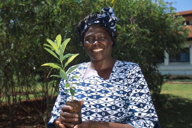 Wangari Maathai holding tree sapling