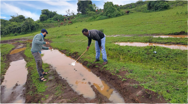The Cisco Global Problem Solver Challenge Grand Prize winning team, Zzapp Malaria, collecting on-site samples