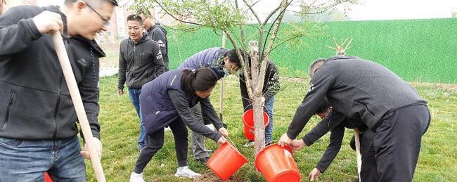 Employees planting a tree