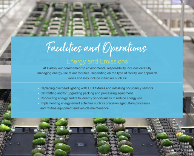 Facilities and Operations text over an image of avocados on conveyor belts