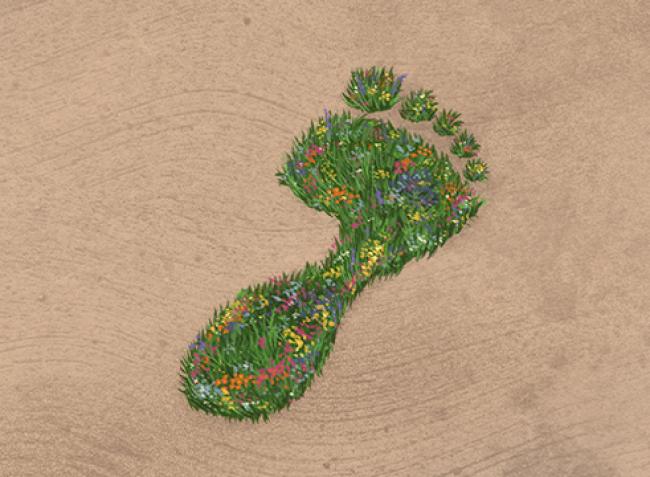 a footprint shaped flower patch with surrounding sand