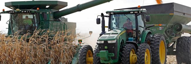 a combine harvesting corn