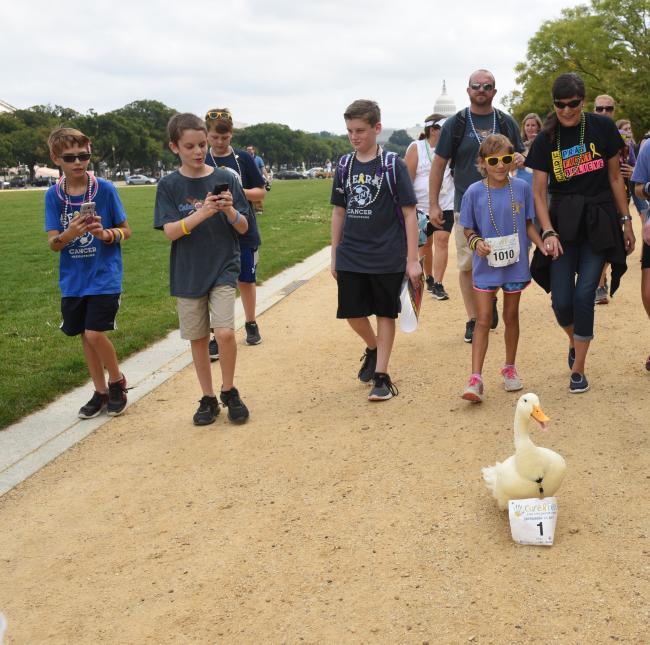 The Aflac Duck participates in the Walk For Life at CureFest at the National Mall in Washington D.C.