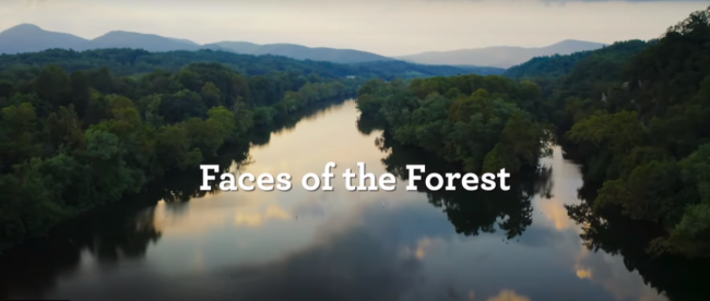 aerial view over a river flowing through a dense forest "Faces of the Forest" appears central