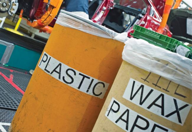 Photo courtesy of Scientific American