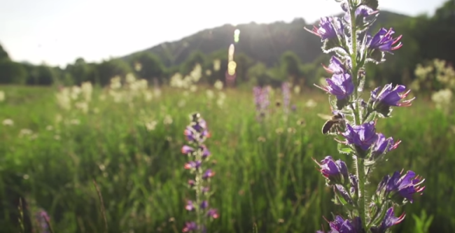 <a href="https://youtu.be/DquZJluzcfk"target="_blank">Click here for video</a>