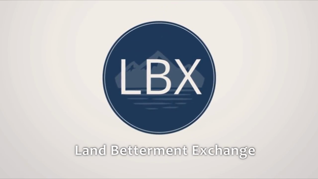 Lbx crypto motley fool kids investing stocks for kids