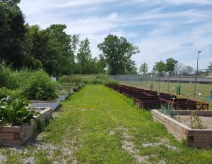 100 Korean shipping crates from GM’s Lake Orion site are being repurposed at the Brownstown Battery garden where members of the community can grow flowers and vegetables.