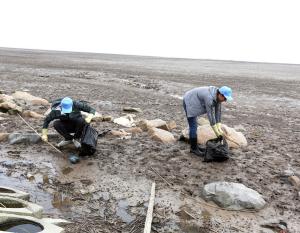 GM Shanghai supports a national nature reserve through volunteerism.