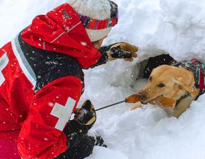 a dog is man's best friend meaning