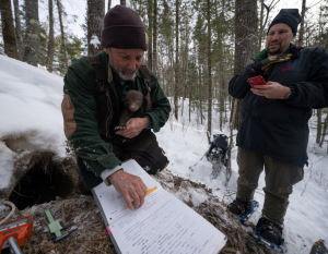 Three people standing in a snowy forest. One is holding a small bear cub and looking at papers on a clipboard.