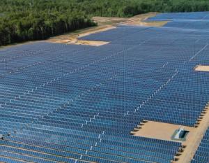 a field of solar panels