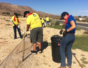 Edison volunteers clear brush and debris along the tribe’s desert tortoise exclusion fence. Credit: Susan Cox