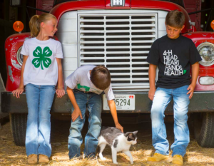 Three children wearing 4H shirts while one of them plays with a cat